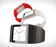 Loop Nano Watch Band
