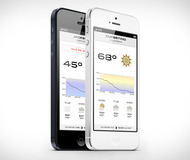 Check The Weather