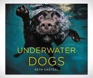 Underwater Dogs