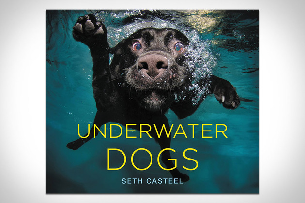 Underwater Dogs