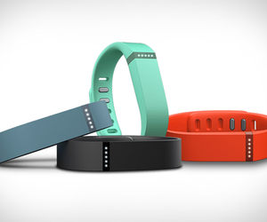Fitbit Flex