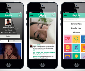 Vine