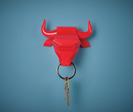 Bull Nose Keyring Holder