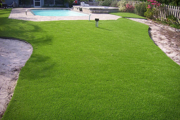 Turf Pro Grass