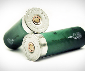 Shotgun Flower Shell