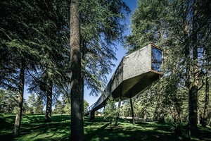 Tree Snake Houses