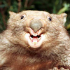 user-pic