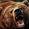 user-pic