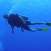 user-pic