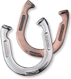 L.L. Bean Horseshoe Set
