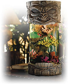 Aloha Tiki Aquarium