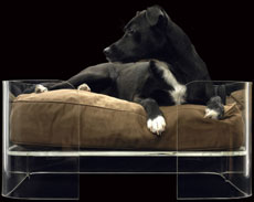 Mija Dog Bed
