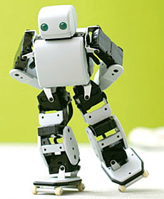 Akazawa PLEN Robot