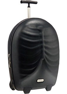 Samsonite Hero Upright