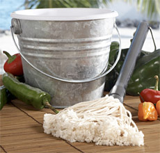 Steven Raichlen Sauce Mop & Bucket