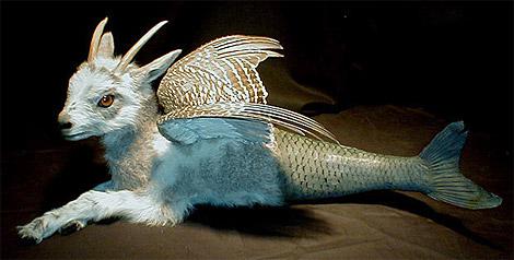 Custom Creature Taxidermy