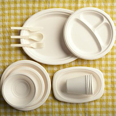 Biodegradable Plates, Cups, + Utensils