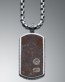 Dinosaur Bone Dog Tag