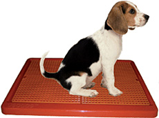UGODOG Indoor Dog Potty