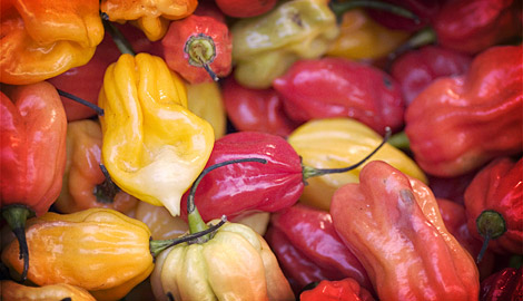 Hot Sauce of the Month Club
