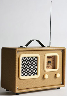 Nomad Portable Speaker