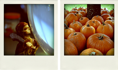 Poladroid