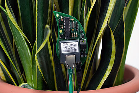 Botanicalls