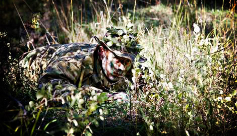 OnPoint Tactical Survival School