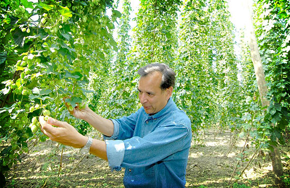 Samuel Adams Hopfenpflücken Adventure