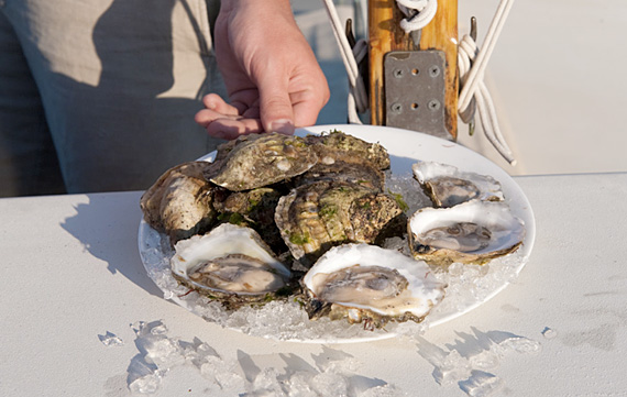 Island Creek Oysters