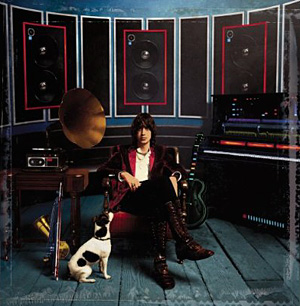 Phrazes for the Young by Julian Casablancas