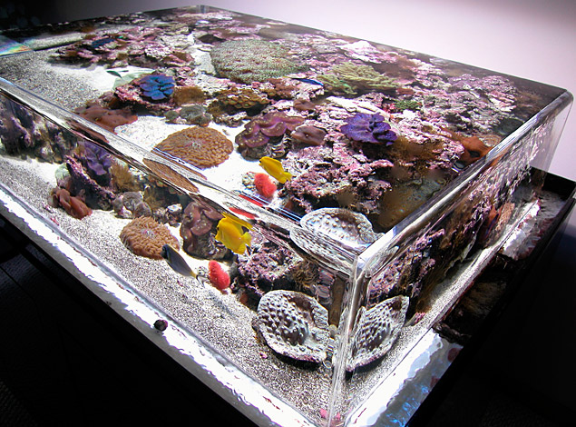 ZeroEdge Aquariums