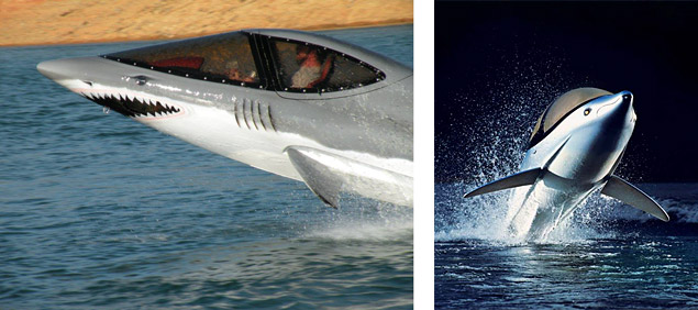 Seabreacher