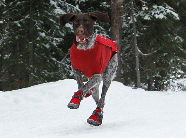 Bark'n Boots Polar Trex