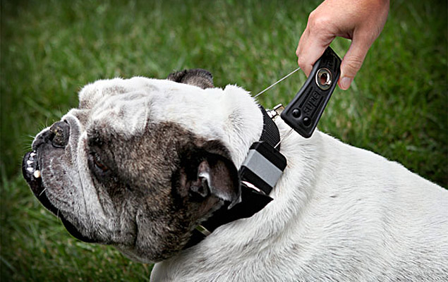 Super Collar