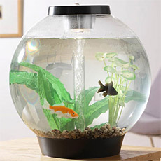 biOrb Aquarium