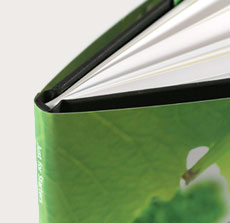 Blurb Custom Books