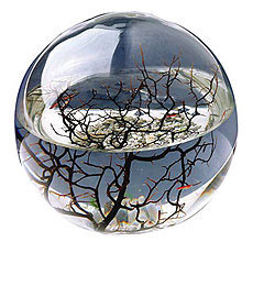 EcoSphere