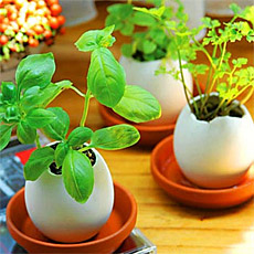 Eggling Planter
