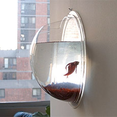 Hanging Fish Pod