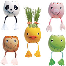 Nyokki Pets