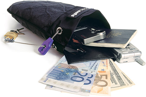 TravelSafe