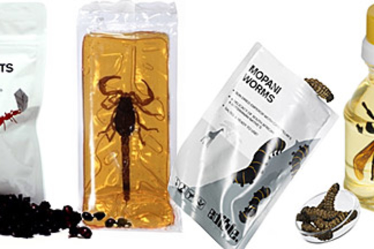 Insectivore Edible Bugs
