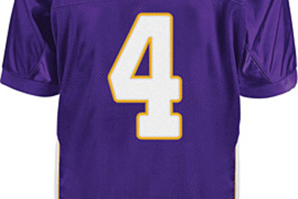 Brett Favre Minnesota Vikings Jersey Brett Favre Minnesota Vikings Jersey