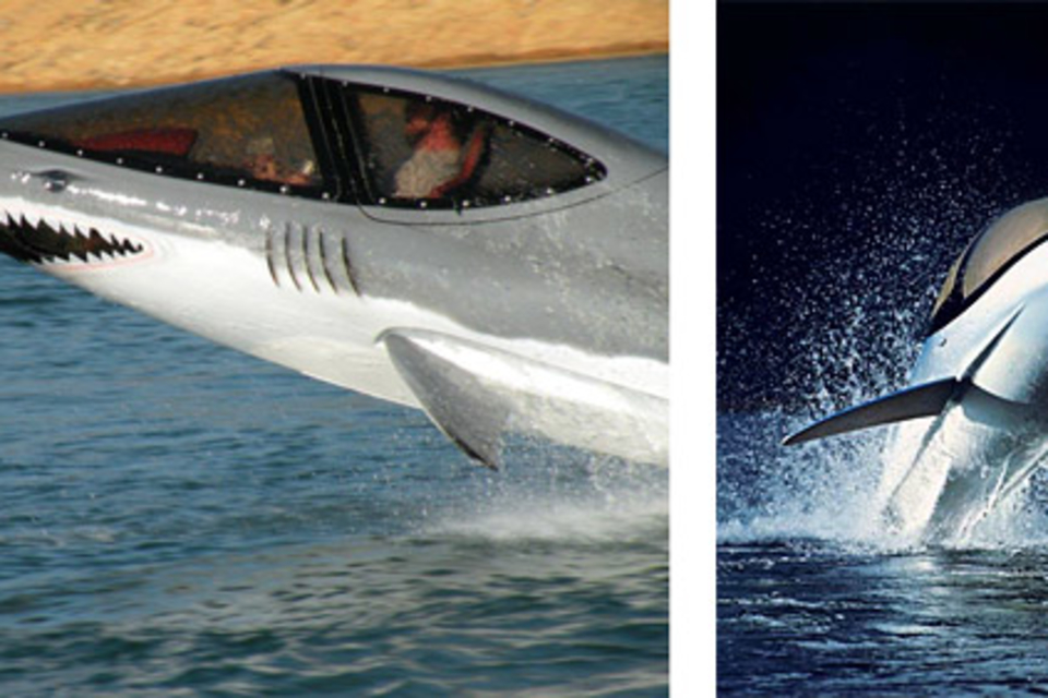 Seabreacher Seabreacher