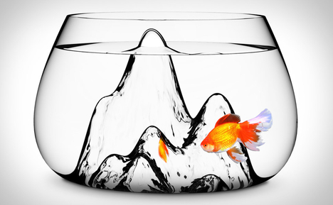 Fishscape Fish Bowl Fishscape Fish Bowl