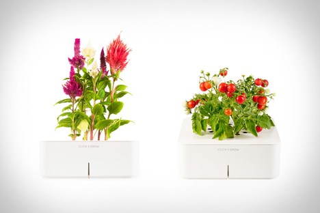 Click & Grow Smartpots Click & Grow Smartpots