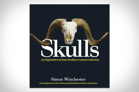 Skulls Skulls
