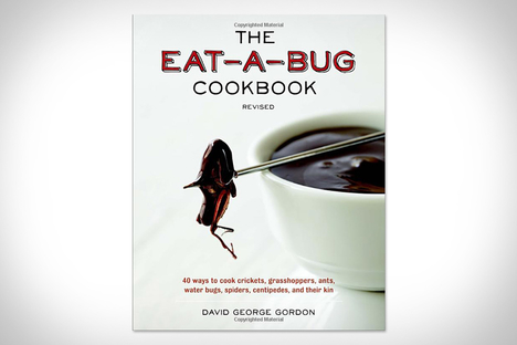 The Eat-A-Bug Cookbook The Eat-A-Bug Cookbook