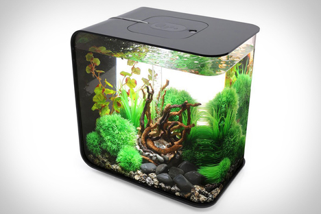 Biorb Flow Aquarium Biorb Flow Aquarium